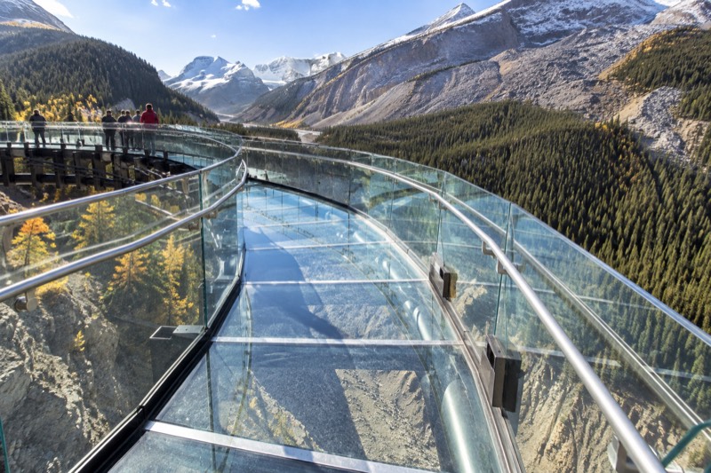 Skywalk Admission Only