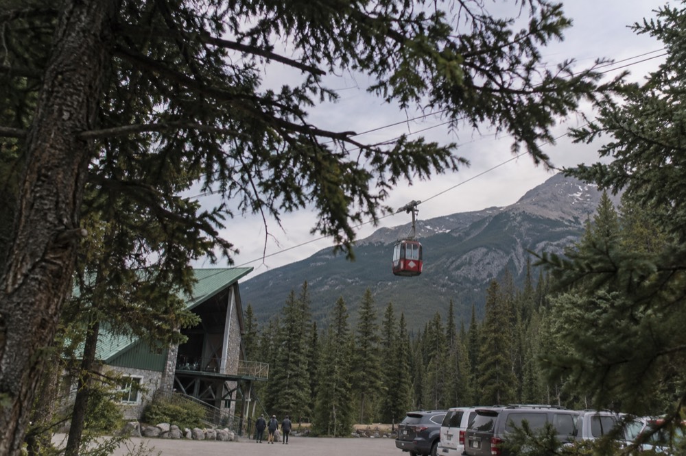 Tramway cabin suspended on cables above a dense evergreen forest with mountains in the distance