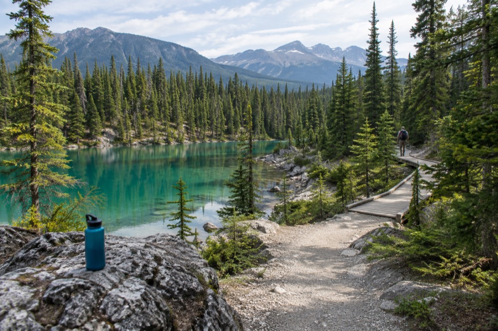 A forested trail winding between small turquoise lakes in Jasper National Park
