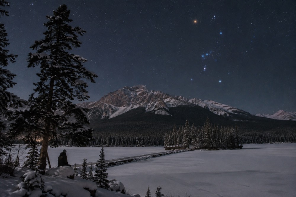 Snow-covered pine forest under a starry night sky above a frozen lake