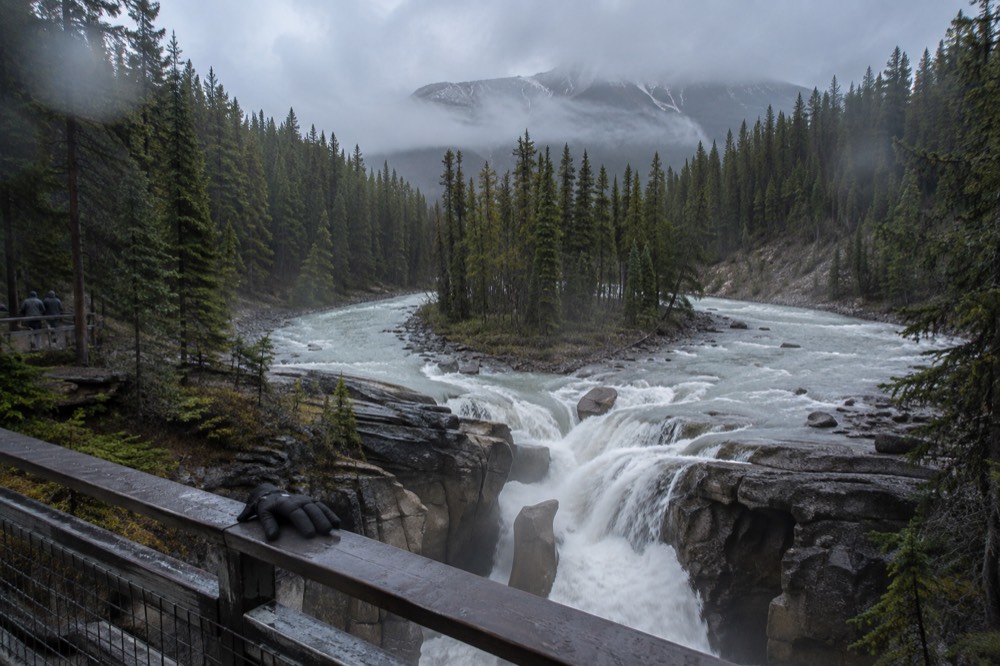 Sunwapta Falls splitting around a rock island before dropping into a limestone gorge