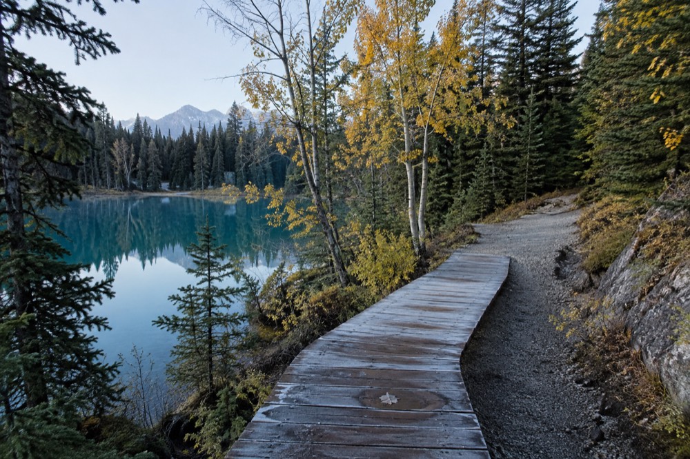 Empty hiking trail through golden autumn forest beside a turquoise lake