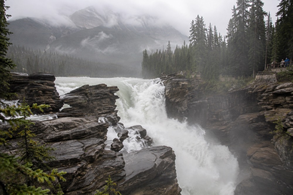 Athabasca Falls pouring through its narrow quartzite canyon along the parkway