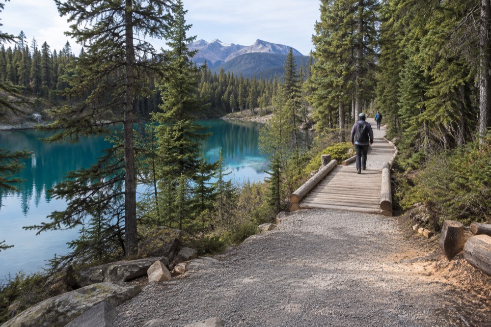 A forest trail winding between five small turquoise lakes with wooden steps