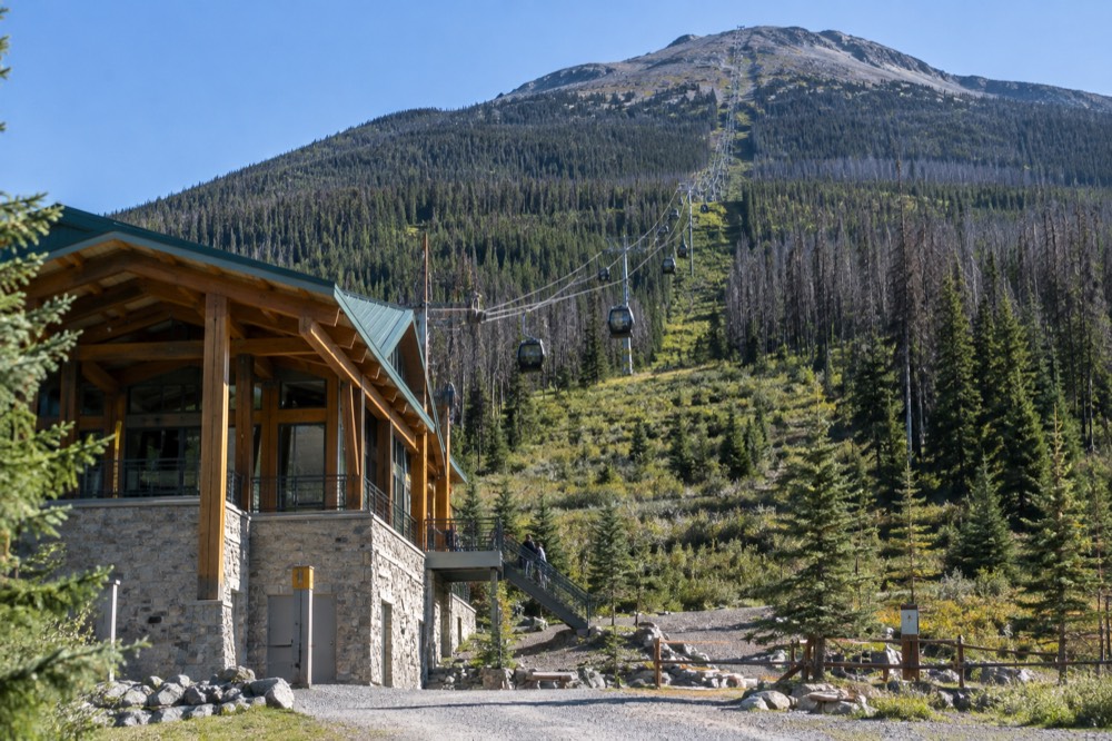 Gondola cabins travelling up a forested mountain slope toward a rocky summit