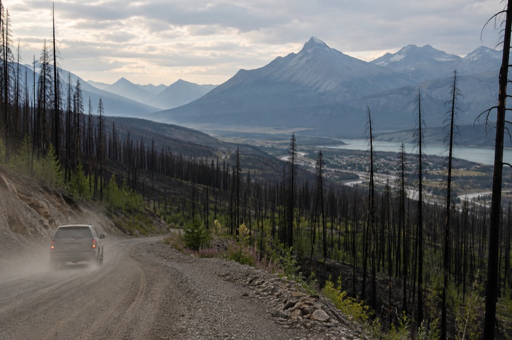 Mountain slopes with standing burned trees and patches of green regrowth