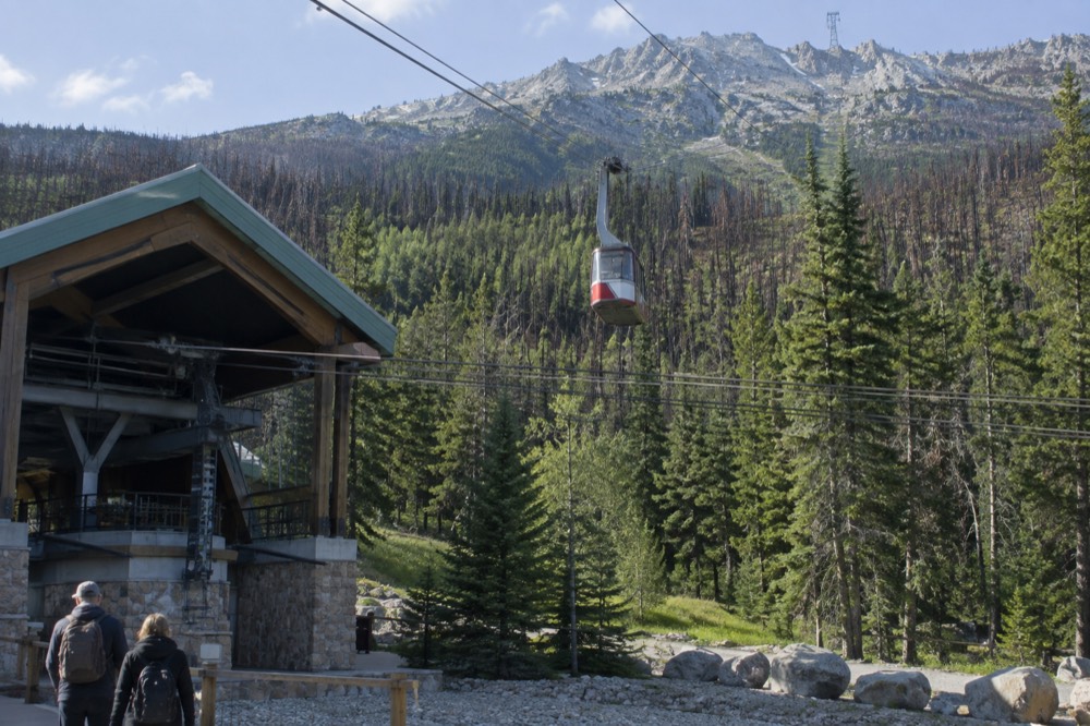 A cable car cabin ascending above a forested mountain slope toward a rocky summit