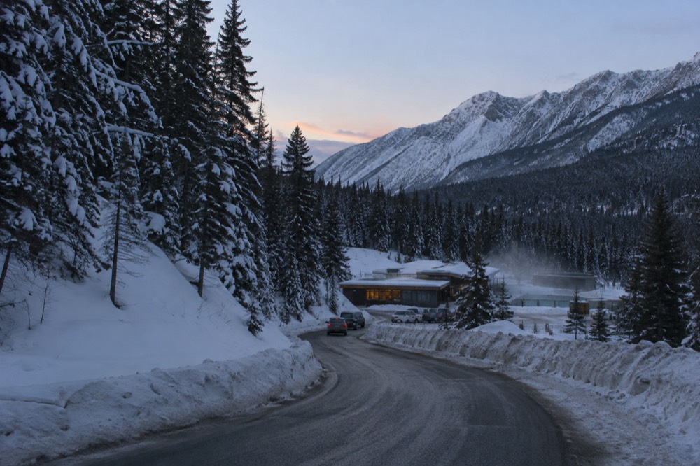 Snow-covered pine trees along a plowed winter road at dusk