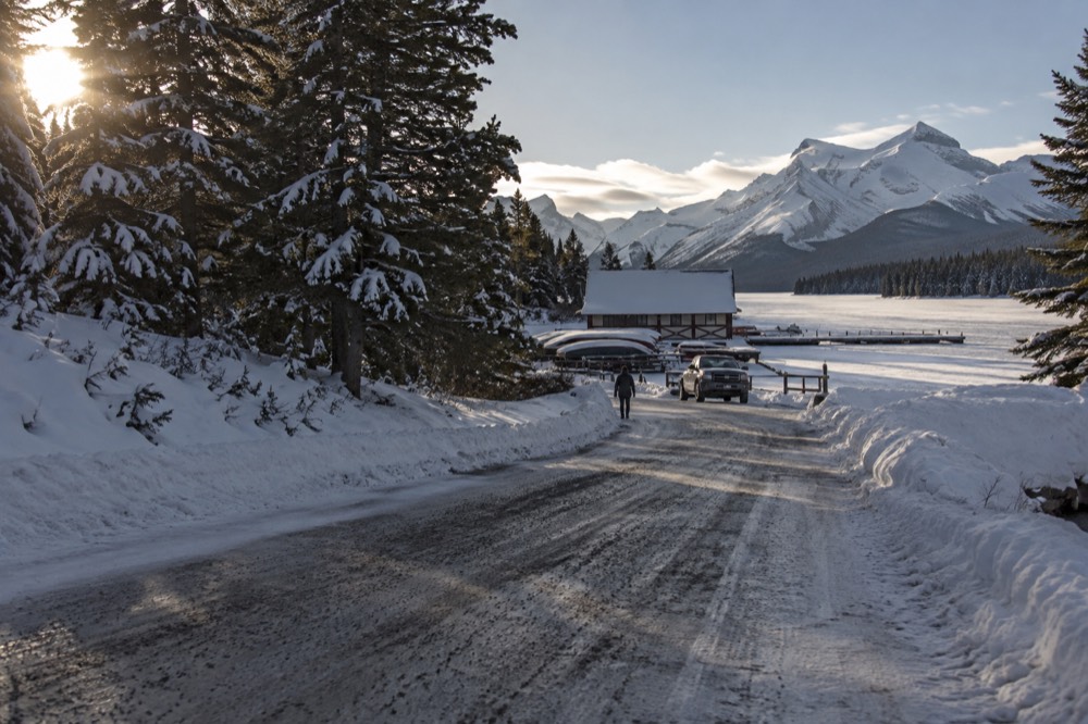 Snow-covered pine forest along a ploughed winter road with mountains beyond