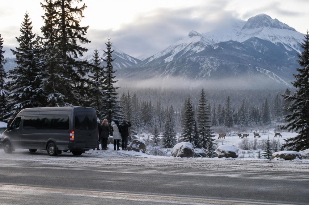 A guide's vehicle stopped at a snowy roadside pullout with passengers watching distant wildlife