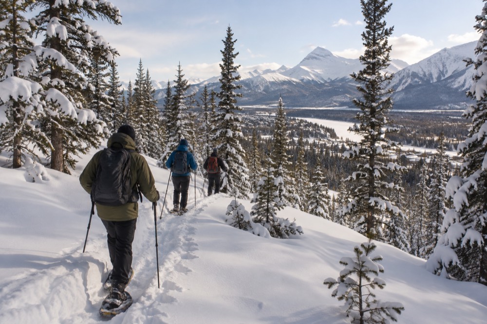 A guide leading snowshoers through a snowy forest trail