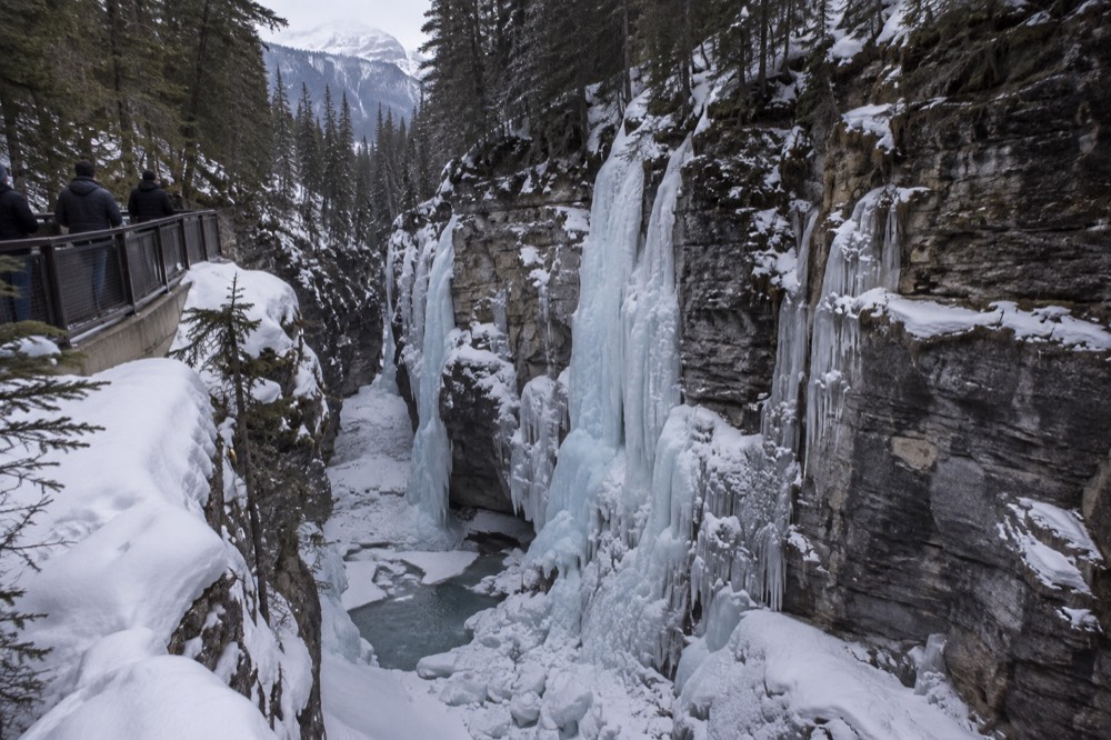 Frozen waterfalls clinging to dark rock walls in a winter gorge
